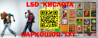 молекула духа Берёзовский