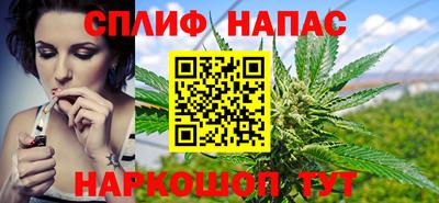 СК Беслан