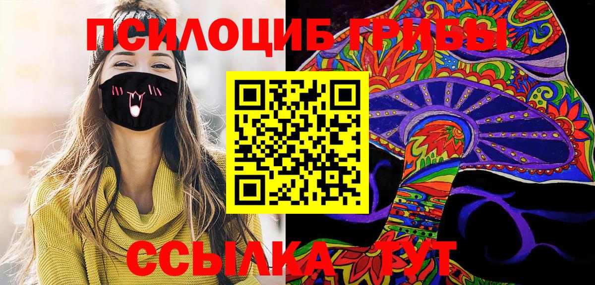 Ирбит  где купить наркоту  Вход с VPN  Галлюциногенные грибы Psilocybine cubensis 